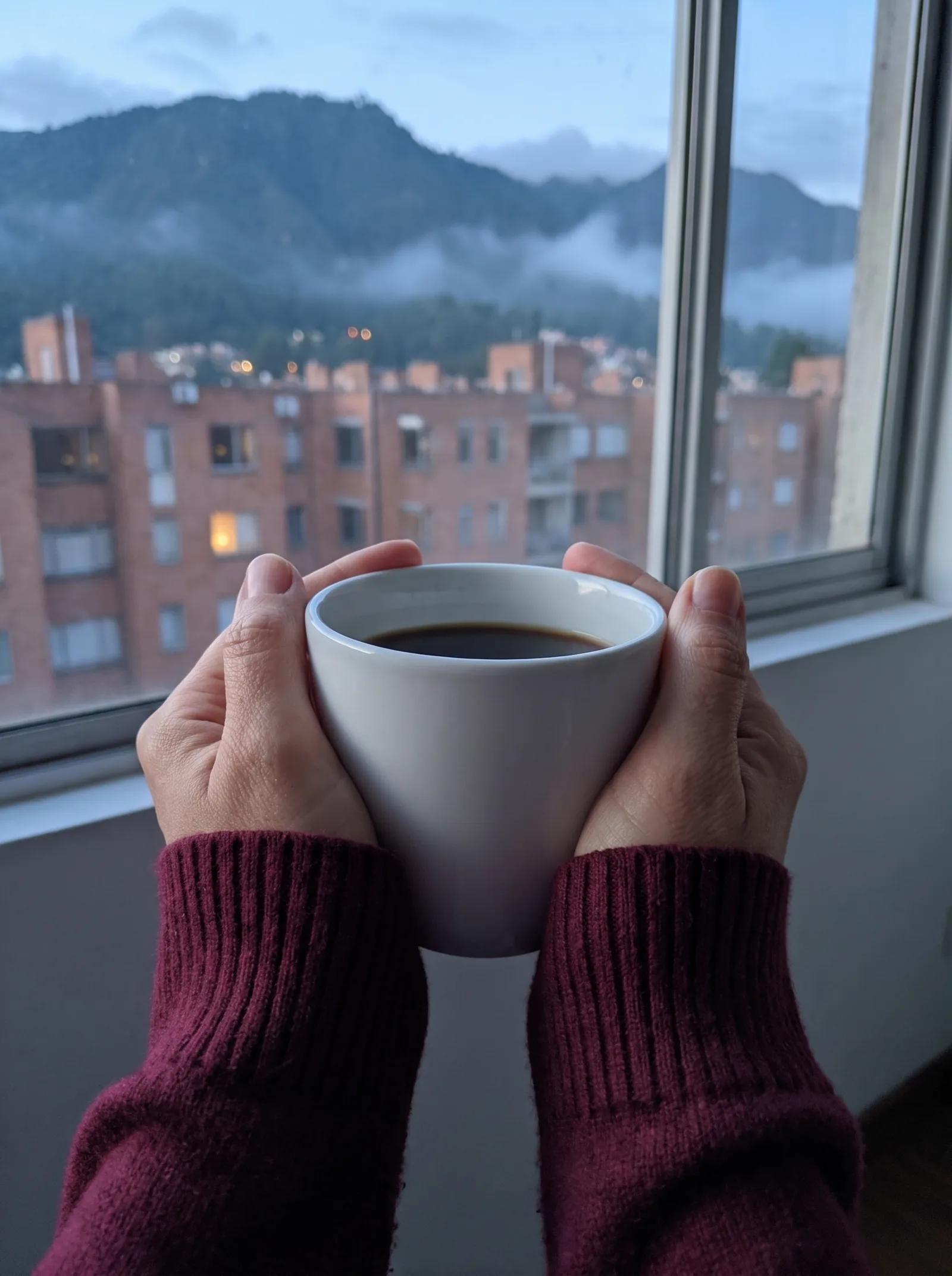 Unas manos sostienen el pocillo de café de la mañana junto a la ventana